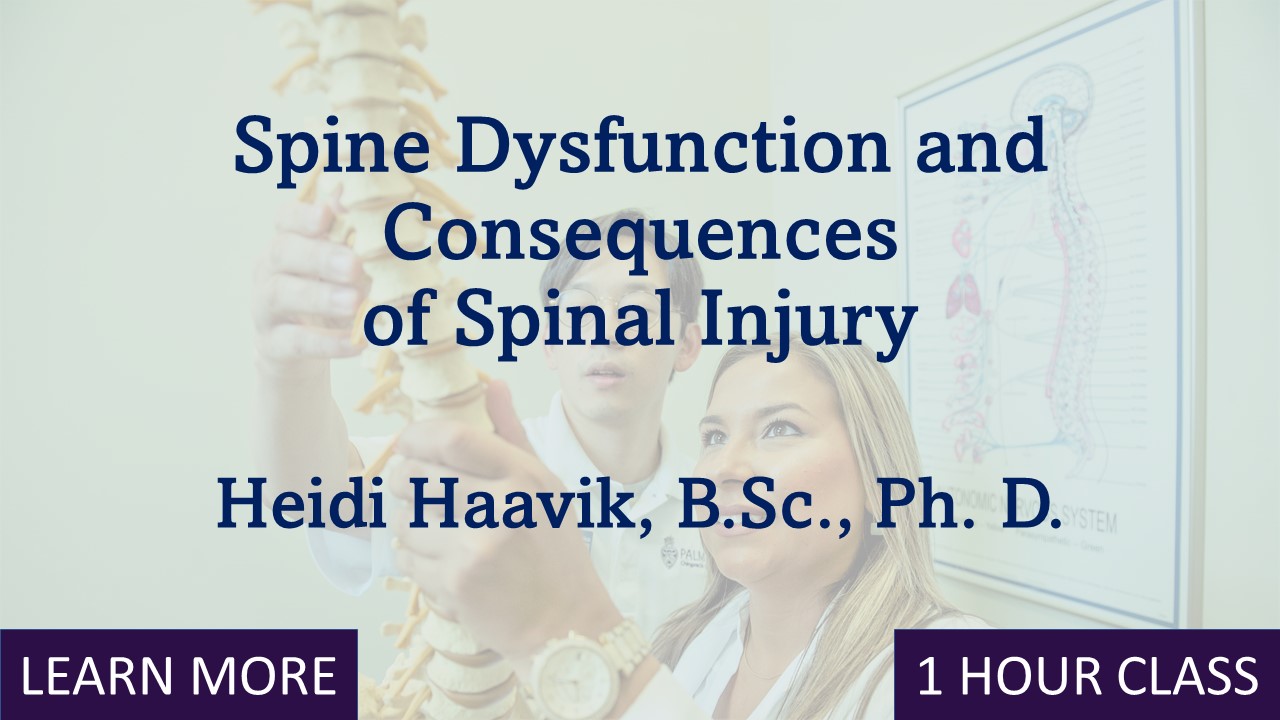 Why does the spine dysfunction and what are the consequences to spinal injury? 
